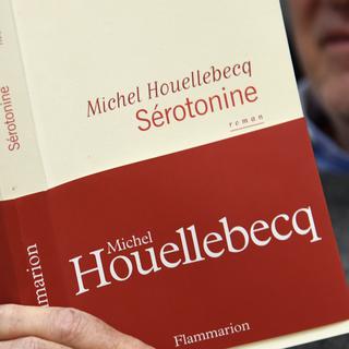 "Sérotonine" de Michel Houellebecq, sorti en janvier 2019. [AFP - Bertrand Guay]