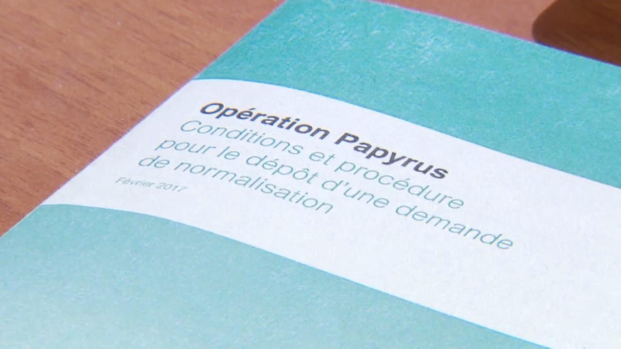 Opération Papyrus
