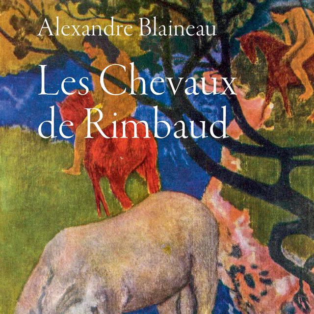 La couverture du livre d'Alexandre Blaineau [www.actes-sud.fr - DR]