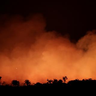 Flots de fumée émanant d'un feu dans l'Etat d'Amazonas au Brésil. [Reuters - Ueslei Marcelino]