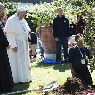 Une cérémonie de plantage d'arbre au Vatican avant l'ouverture du synode des évêques sur l'Amazonie [ANSA via AP/Keystone - Maurizio Brambatti]