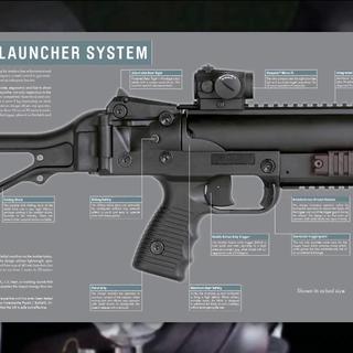 LBD 40, arme de fabrication suisse. [RTS]