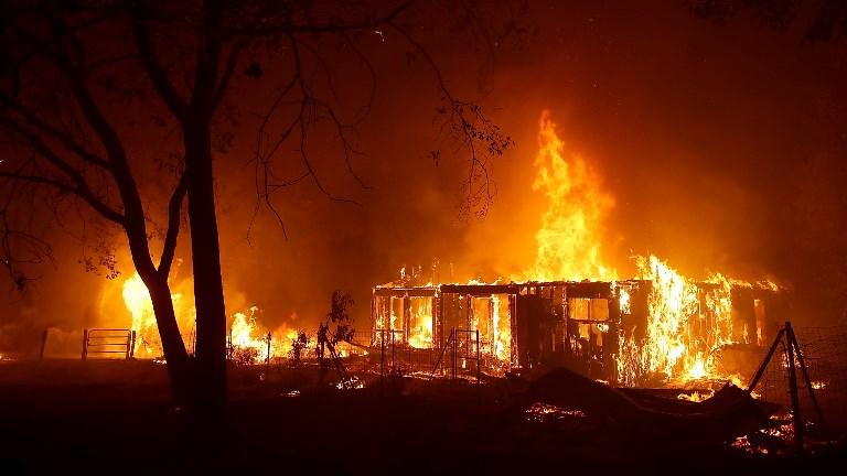 Les gigantesques feux de forêt dans l'Ouest américain en automne 2018 ont notamment fait des ravages. [AFP/Getty Images North America - Justin Sullivan]