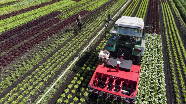 Les pesticides sont de moins en moins utilisés en Suisse. [KEYSTONE - Anthony Anex]