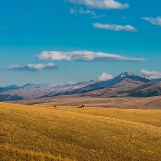 Certains de nos ancêtres sont venus à cheval des steppes de l'actuelle Europe de l'Est.
brokenrecords
Depositphotos [Depositphotos - brokenrecords]