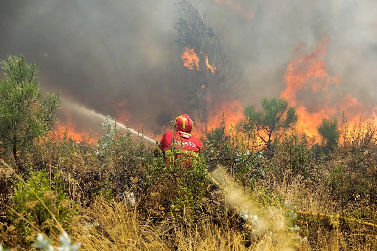Des pompiers combattent les feux de forêts à Sarnadas, près de Macao, au Portugal, le 21 juillet 2019. [Keystone/epa - Paulo Novais]