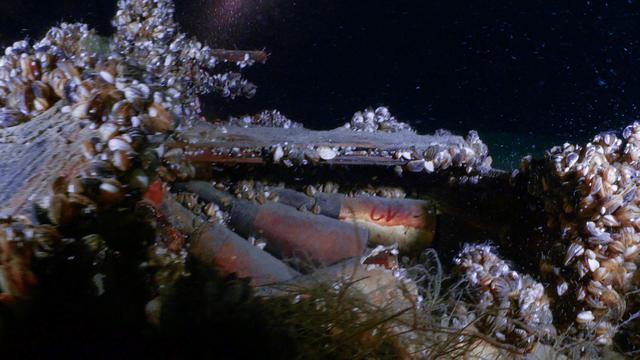 Une caisse de munitions au fond du Léman retrouvée à une cinquantaine de mètres sous la surface. [Keystone - Odysseus 3.1]