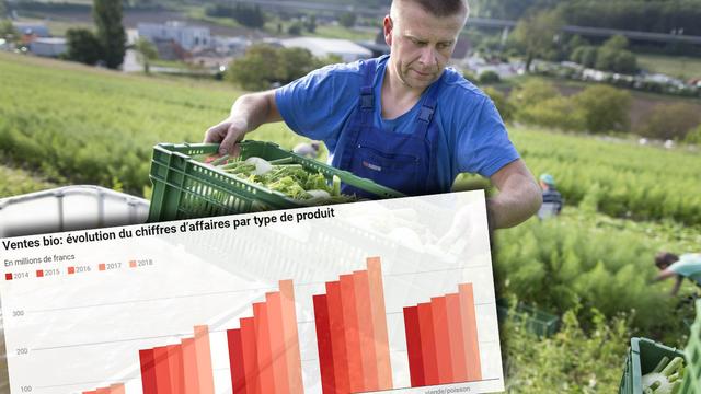 Fin 2018, 6719 fermes ont produit selon les directives de Bio Suisse, soit 296 de plus qu'un an plus tôt. [Keystone - Gaetan Bally]