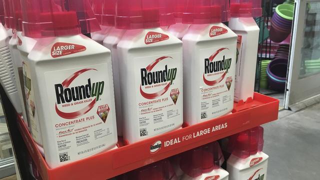 Les jurés ont estimé que le plaignant avait su démontrer que le Roundup était "un facteur substantiel" de son cancer. [AP/Keystone - Haven Daley]