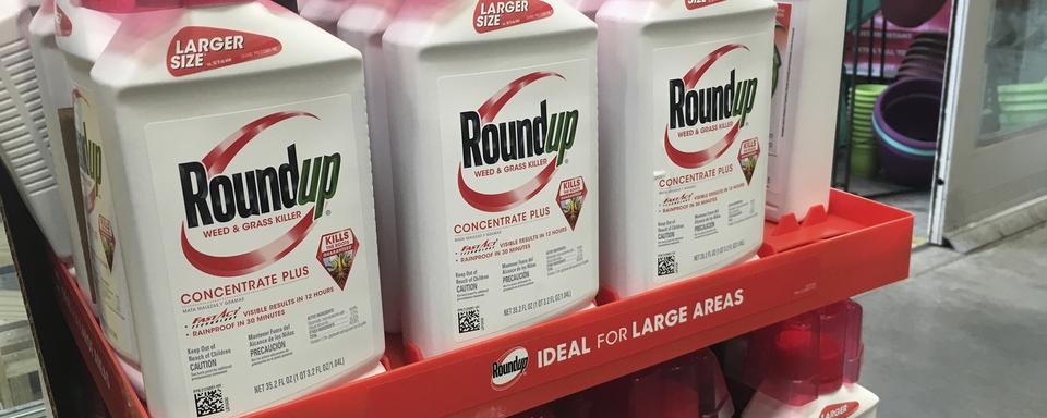 Les jurés ont estimé que le plaignant avait su démontrer que le Roundup était "un facteur substantiel" de son cancer. [AP/Keystone - Haven Daley]