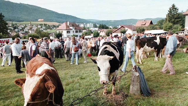 La foire aux bestiaux de Chaindon à Reconvilier est l'une des attractions du Jura bernois. [Keystone - str/bist]