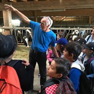 Une classe visite la ferme pédagogique du domaine des Cases aux Monts-de-Pully. [RTS - Jean de Preux]