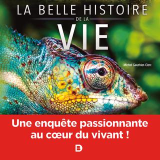 La couverture de l'ouvrage "La belle histoire de la vie, Une enquête passionnante au cœur du vivant!", de Michel Gauthier-Clerc.
De Boeck Supérieur [De Boeck Supérieur]