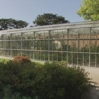 Le Jardin botanique cantonal de Lausanne inaugure sa nouvelle serre. [RTS]