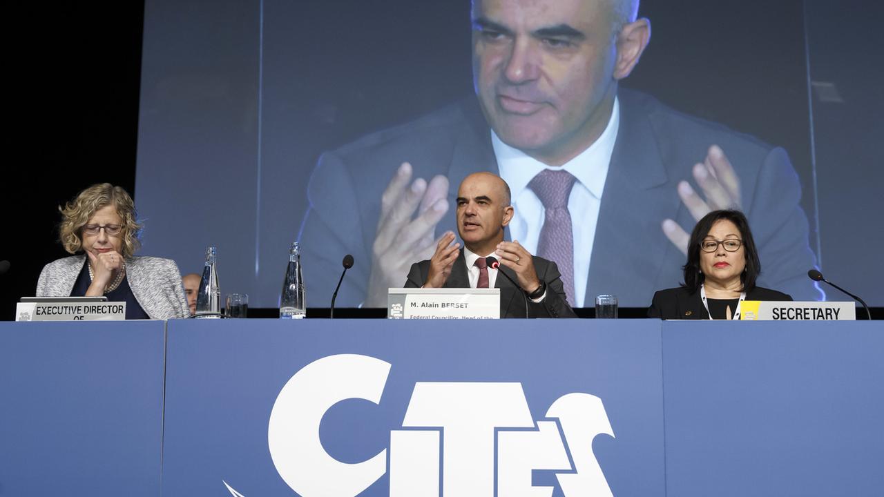 Alain Berset à l'ouverture de la 18e conférence de la CITES à Genève, 17.08.2019. [Keystone - Salvatore Di Nolfi]