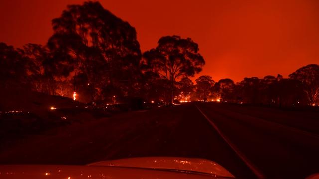 Les "bush fires" ont déjà brûlé plus de 3,4 millions d'hectares depuis le mois d'octobre. [AFP - Saeed Khan]