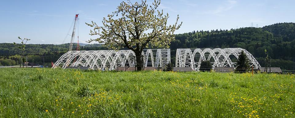 Après quinze ans de travaux, le site de la décharge de Kölliken va être rendu à l'agriculture. [Keystone - Georgios Kefalas]