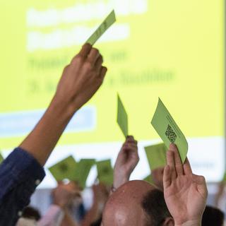 Les délégués Vert'libéraux étaient réunis samedi 9 novembre à Spiez. [Keystone - Peter Schneider]