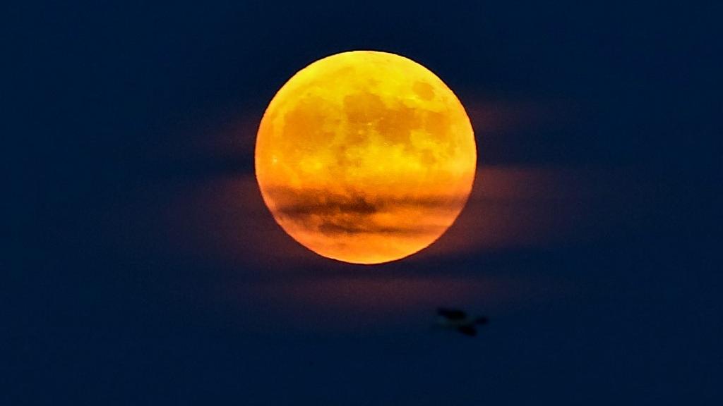 La Lune offrira une éclipse partielle à une grande partie des Terriens. [AFP - Elif Ozturk]