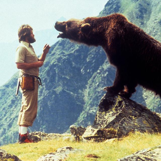 Une scène du film "L'Ours" de Jean-Jacques Annaud, 1988. [AFP - Renn Productions]