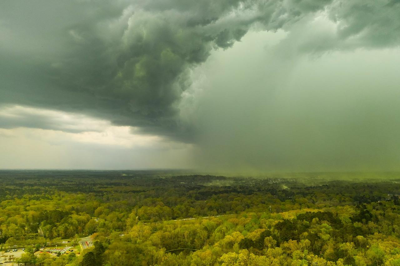 La "pollenpocalypse" enveloppe la région de Chapel Hill, en Caroline du Nord. [DR/Facebook - Jeremy Gilchrist]