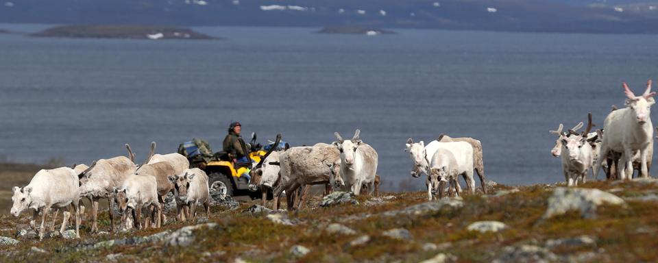 Le projet minier inquiète la communauté sami, en Laponie. [Reuters - Stoyan Nenov]