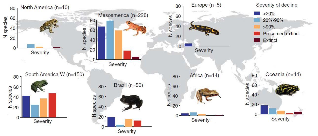 Déclin mondial des espèces d'amphibiens associé aux chytrides (mars 2019). [sciencemag.org - Ben C. Scheele]