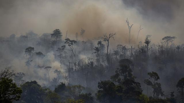 Des gigantesques feux de forêt ravagent l'Amazonie. [AFP - Joao Laet]