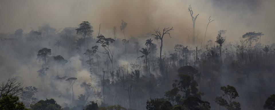 Des gigantesques feux de forêt ravagent l'Amazonie. [AFP - Joao Laet]