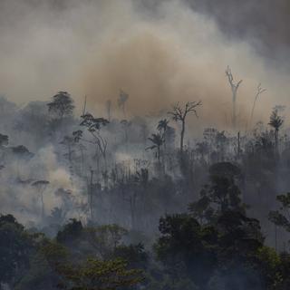 Des gigantesques feux de forêt ravagent l'Amazonie. [AFP - Joao Laet]