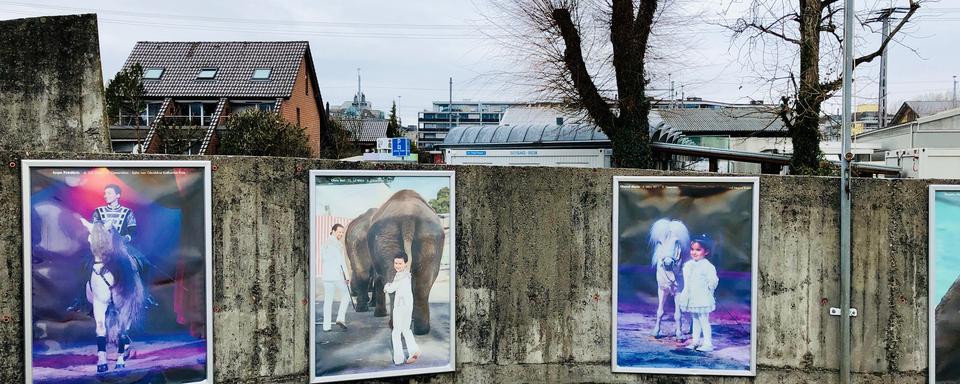 "Transmettre la patience" [RTS - Karine Vasarino]