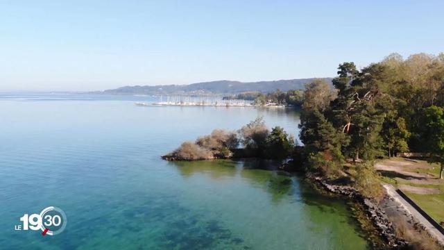 L’eau pourrait être pompée dans le lac de Neuchâtel, aux alentours de la commune d'Yvonand. [RTS]