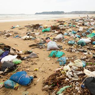 De nombreux plastiques parmi les déchets rejetés par les océans.
dnaumoid
Depositphotos [dnaumoid]