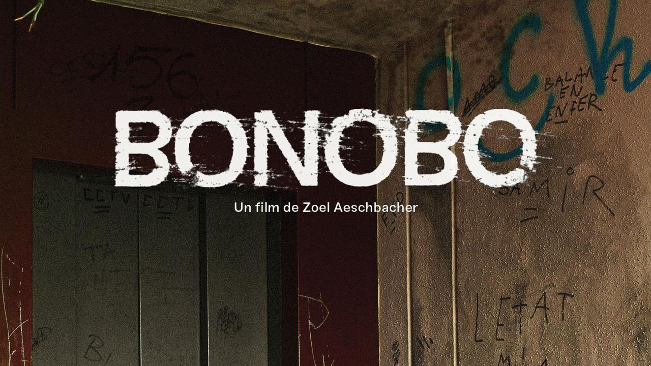 L'affiche du film "Bonobo" de Zoel Aeschbacher. [ecal.ch]