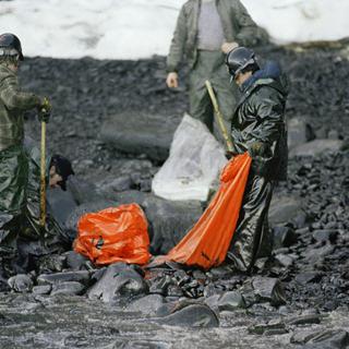 Les côtes de Baked Island, en Alaska, noires de pétrole le 2 avril 1989. [AP/Keystone - Jack Smith]