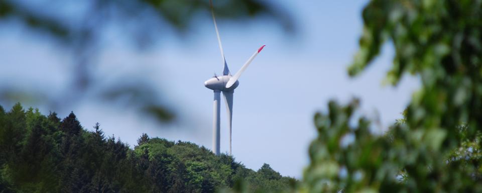 Des voix s'élèvent contre la construction de parcs éoliens outre-Sarine. [RTS - Gaël Klein]