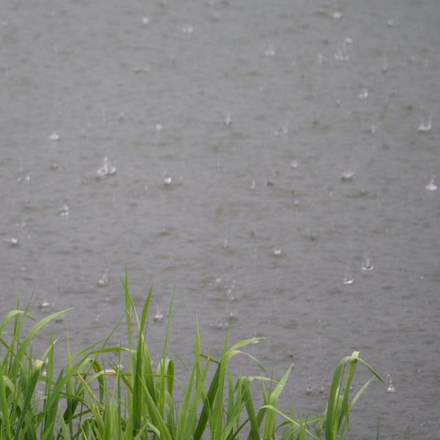 Les précipitations ont été abondantes depuis dimanche sur toute la Suisse. [Vos infos - Fred Betticher]