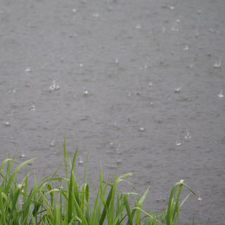 Les précipitations ont été abondantes depuis dimanche sur toute la Suisse. [Vos infos - Fred Betticher]