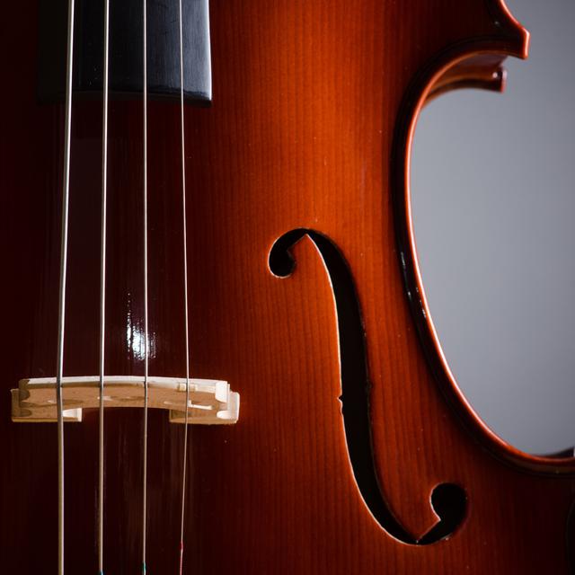 Un violoncelle. [Depositphotos - Elnur_]
