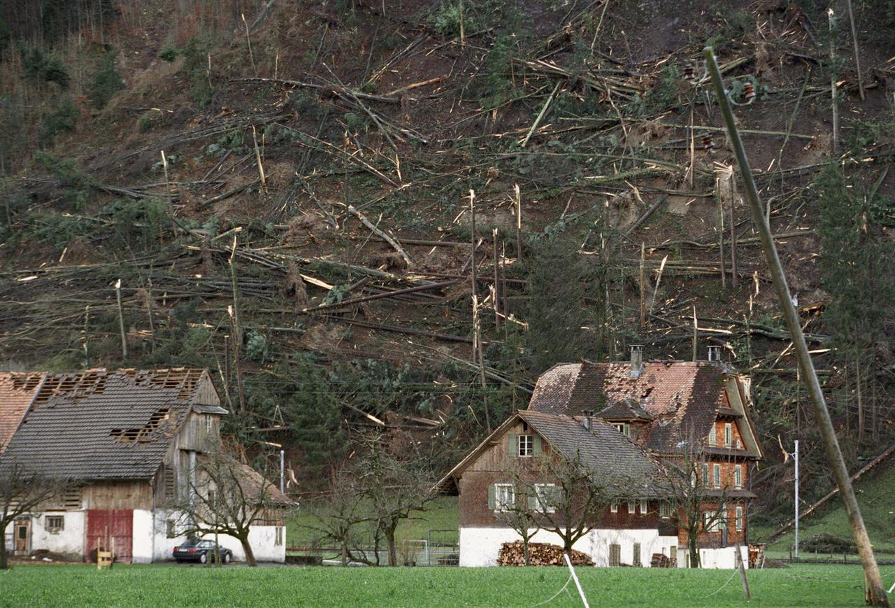 Le bilan humain et matériel du passage de la tempête Lothar a été considérable (ici à Büren, dans le canton de Nidwald) [Keystone - Urs Flueeler]