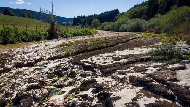 Le Doubs à sec entre Morteau et Pontralier, le 12 août 2018. [AFP - Fabrice Coffrini]