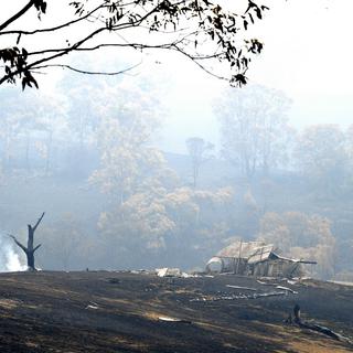 Une forêt brûlée à Quaama en Australie. [AFP - Saeed Khan]