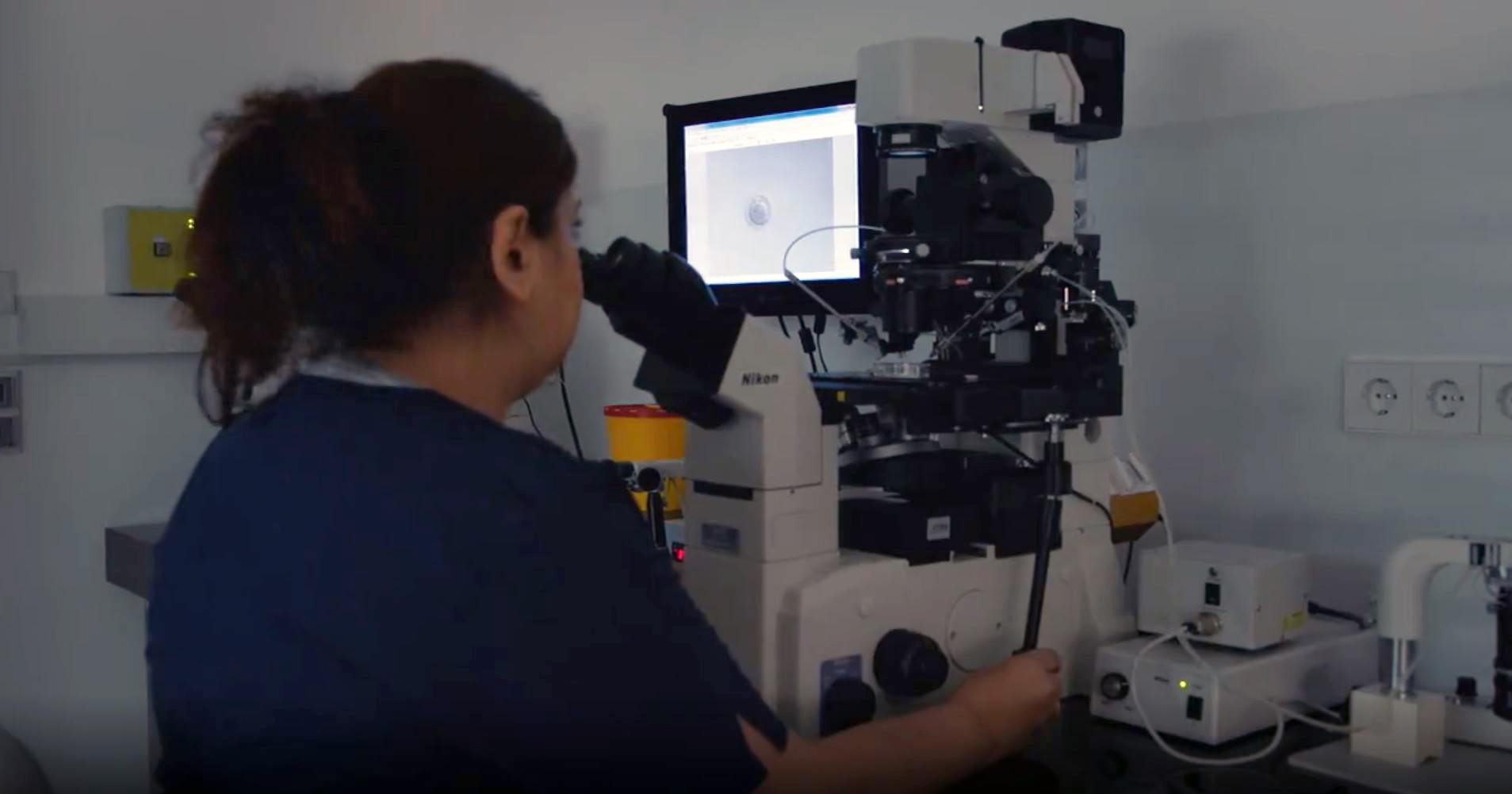 Embryologiste qui examine une ovule fécondée. [FAIR & UGLY filmverleih - Briner, Caroline (RTS)]