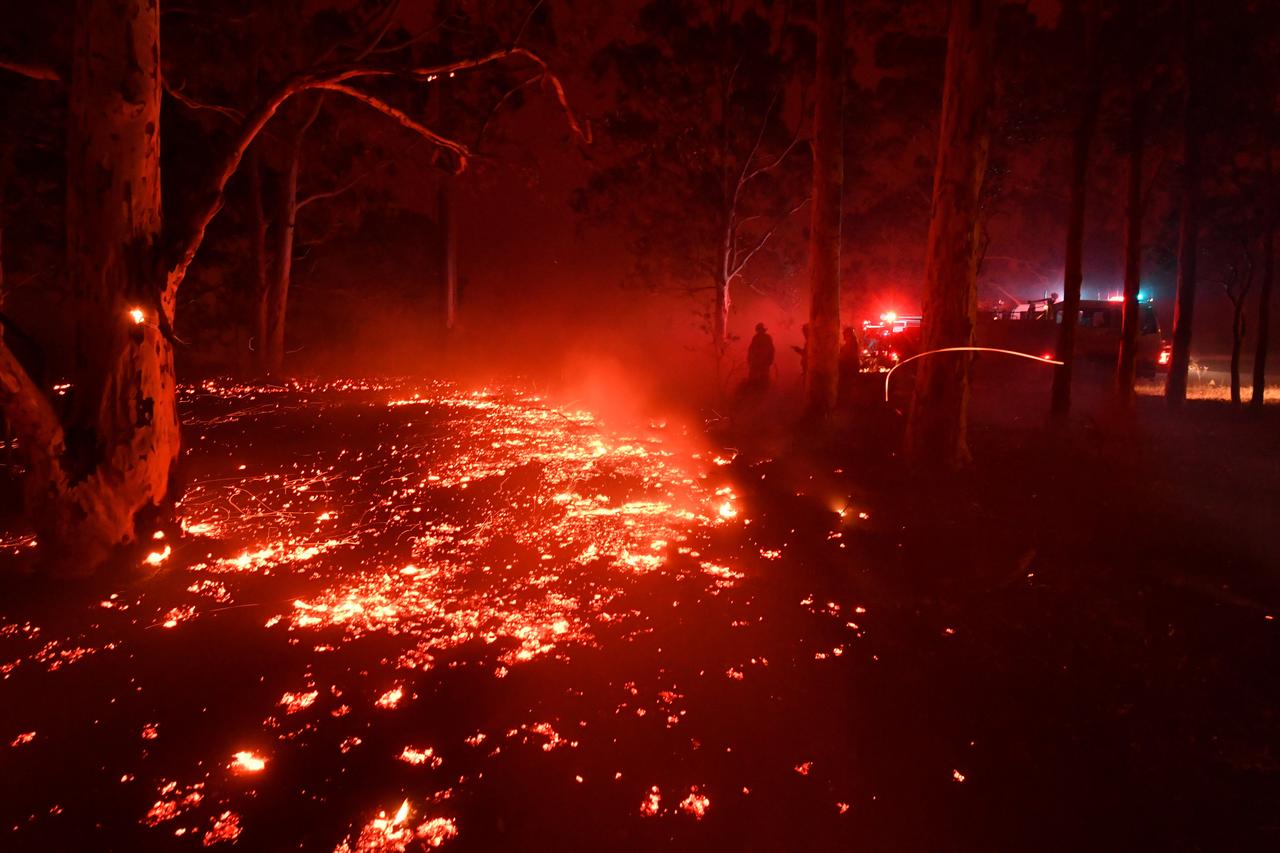 Comme une rivière de braises dans une forêt proche de Nowra, où les pompiers tentent de freiner l'avancée des flammes. [afp - Saeed Khan]