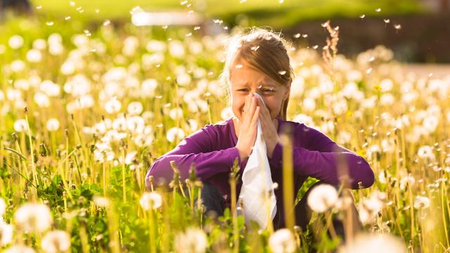 Rhume des foins et allergies aux pollens. [Depositphotos - Kzenon]