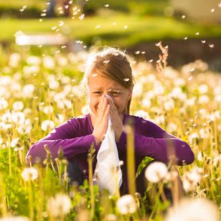 Rhume des foins et allergies aux pollens. [Depositphotos - Kzenon]