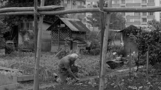 Jardins familiaux en 1966. [RTS]