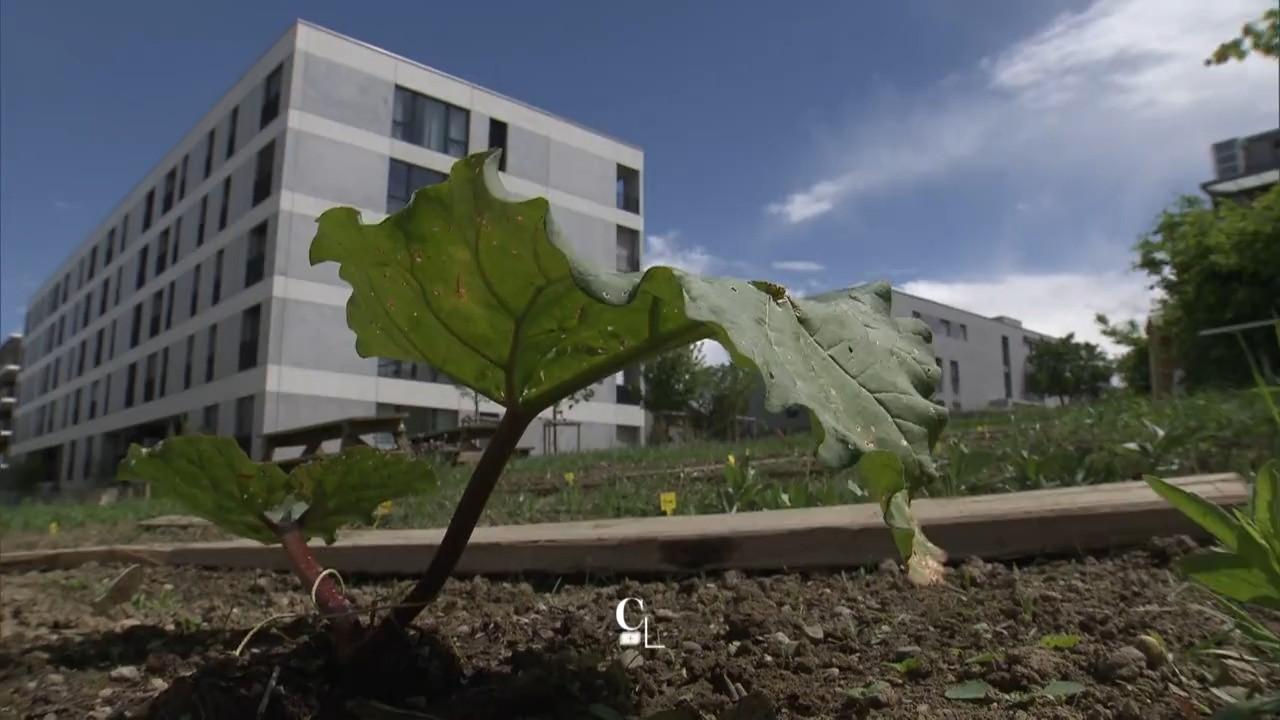 Le nouvel écoquartier des Vergers à Meyrin, 2018