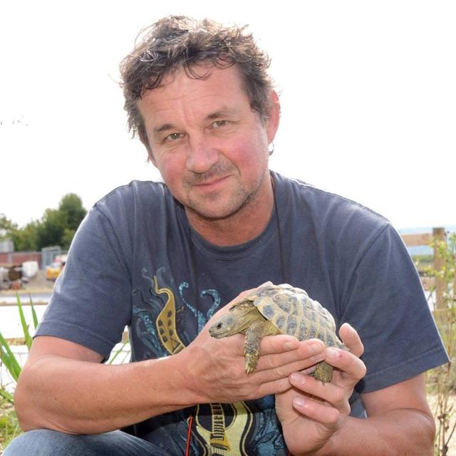 Jean-Marc Ducotterd a créé le Centre Emys à Chavornay, un lieu mondialement reconnu dans la sauvegarde de la tortue. [DR / Jean-Marc Ducotterd]