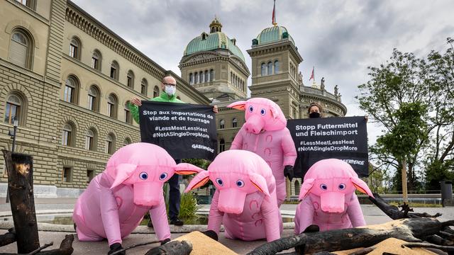 Pétition contre certaines importations de viande et de fourrages déposée à Berne. [Greenpeace - Severin Nowacki]